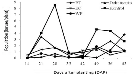 Fig. 3. Population of C. pavonana larvae on broccoli plant treated with insecticides 