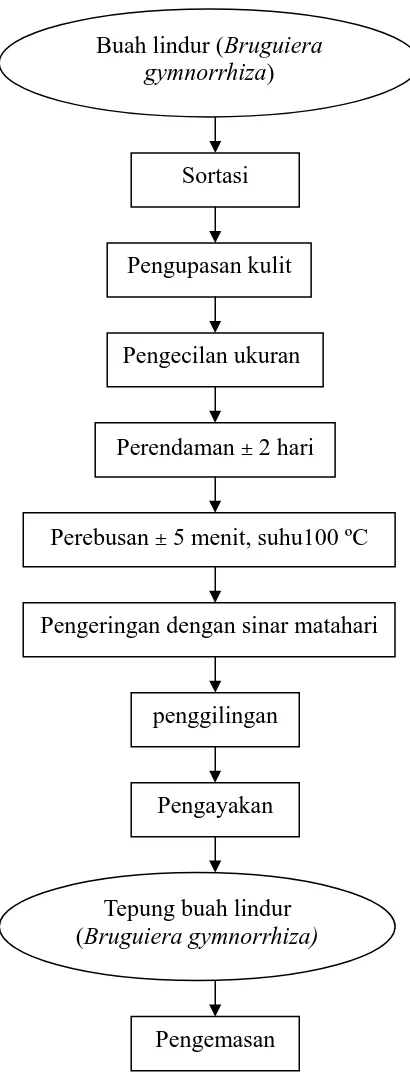 Gambar 3. Proses pembuatan tepung buah lindur (Bruguiera gymnorrhiza) (Sony, 2009)  