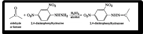 Gambar 8. Reaksi pembentukan 2,4-dinitrofenilhidrazon 
