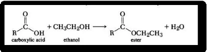 Gambar 10. Reaksi kimia antara karboksilat dan etanol 