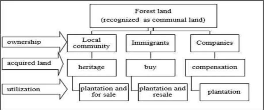 Figure 1. Overview of land ownership changes in the area FMU Dharmasraya 