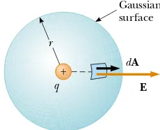 Figure 24.10 (Example 24.4) The point charge q is at thecenter of the spherical gaussian surface, and E is parallel to dAat every point on the surface.