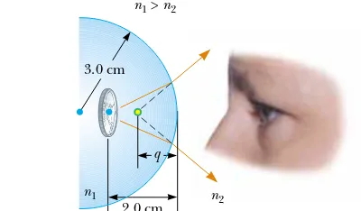 Figure 36.21 (Example 36.7) Light rays from a coin embeddedin a plastic sphere form a virtual image between the surfaceof the object and the sphere surface