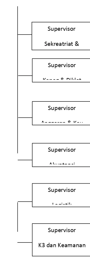 Gambar-5.2:   Struktur Organisasi PT.PLN (Persero)  