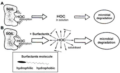 Gambar 5 Surfaktan meningkatkan bioavailabilitas minyak terhadap bakteri: (A) laju    biodegradasi terbatas karena minyak tidak larut dan (B) peningkatan kelarutan minyak dan laju biodegradasi karena adanya misel surfaktan (Tiehm & Stieber 2001)
