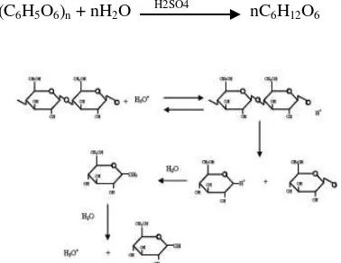 Gambar 2.5. Mekanisme Reaksi Hidrolisis Selulosa oleh Asam  (Sumber : Humprey,  1979) 