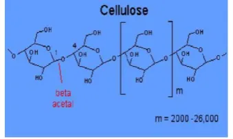 Gambar 2. Hemiselulosa 