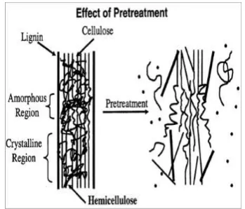 Gambar 3. Skematis Tujuan Pretreatment 
