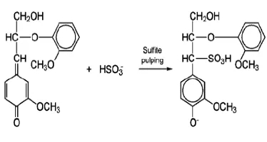 Gambar 1. Reaksi lignin dengan bisulfite (Kirk and Othmer, 1981). 