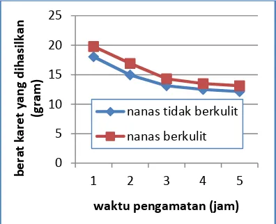 Gambar 11.  Perbandingan antara volume nanas berkulit (15ml) dan volume nanas tidak berkulit (15ml) pada lateks 5ml 