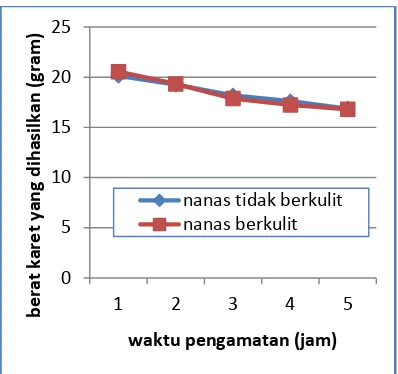 Gambar 20. Perbandingan antara volume nanas berkulit (20ml) dan volume nanas tidak berkulit (20ml) pada lateks 15ml 