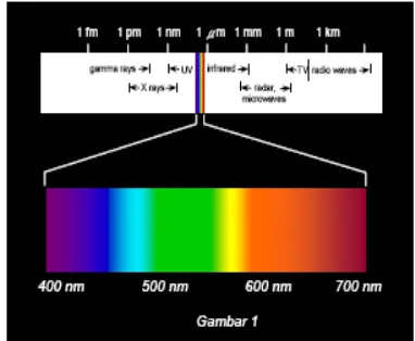 Gambar 1. Spektrum Pantulan Cahaya (Rigg, 1997) 