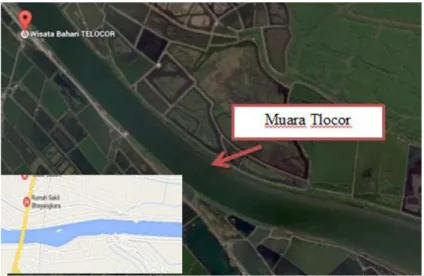Gambar 4-2. Sungai Berantas Muara Tlocor  (Sumber : Google Map) 