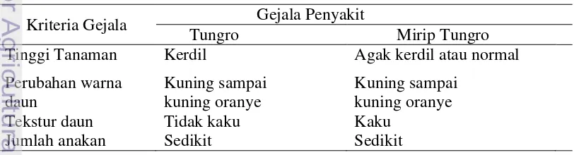 Tabel 1  Deskripsi gejala penyakit tungro dan mirip tungro 