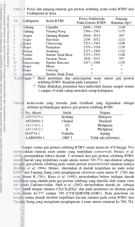 Tabel  3  Posisi dan panjang runutan gen protein selubung isolat-isolat RTBV dari 8 kabupaten di Jawa   