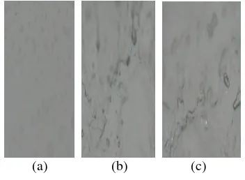 Gambar 6. Struktur Morfologi Film Plastik Biodegredabel Tanpa Kitosan  dengan Variasi Gliserol  (a) 0,7 (%v/v), (b) 2 (%v/v), (c) 3,3 (%v/v) 