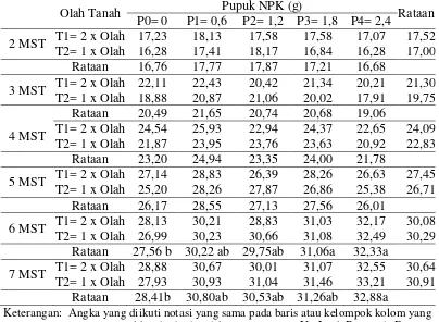 Tabel 1. Rataan tinggi tanaman 2-7 MST (cm) pada pengolahan tanah dan pemberian pupuk NPK 