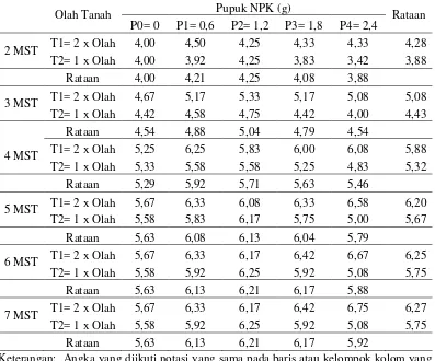 Tabel 2. Rataan jumlah anakan per sampel 2-7 MST (anakan) pada pengolahan tanah dan pemberian pupuk NPK 