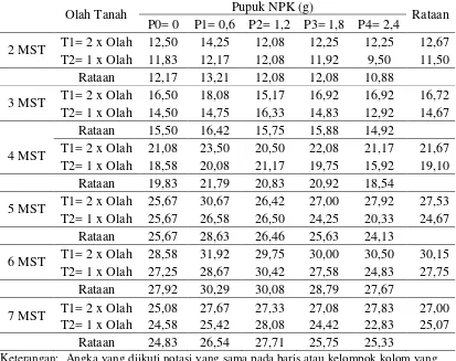 Tabel 3. Rataan jumlah daun per sampel 2-7 MST (helai) pada pengolahan tanah dan pemberian pupuk NPK 
