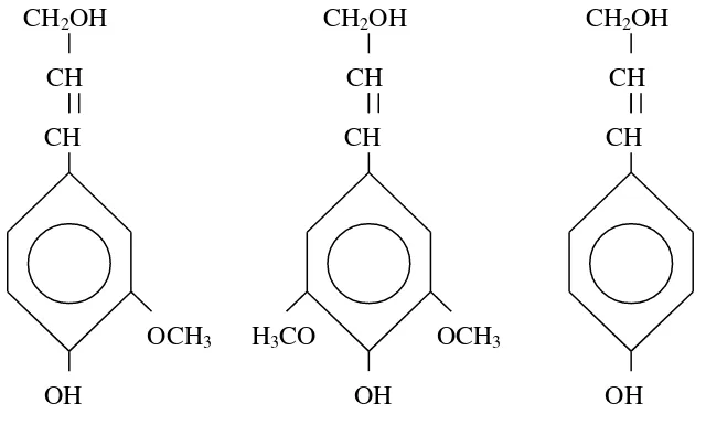 Gambar 2. Unit dasar penyusun lignin            Sumber : Nugraha, 2003 