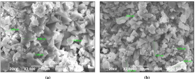 Gambar 4. Foto SEM serbuk MnSO 4 .H 2 O: (a) pendinginan udara, (b) pendinginan media air es  Lamanya  waktu  kristalisai  dapat  mempengaruhi 