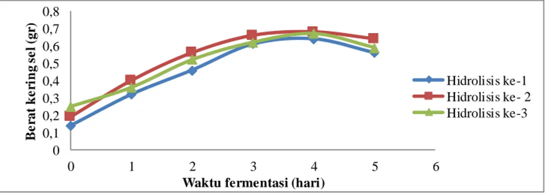 Gambar  2 Pertumbuhan Saccharomyces cerevisiae selama proses fermentasi 