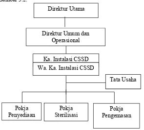 Gambar 3.2 Struktur Organisasi Instalasi Central Sterilized Supply Department  