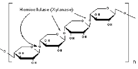 Gambar 2. Struktur penyusun hemiselulosa 