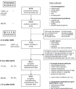 FIGURE 1100% (of7223infants enrolled in birth weightOverview of recruitment, follow-up monitoring, and data84.4% infant gender