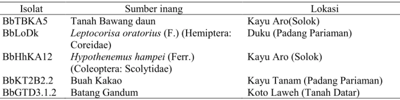 Tabel 1  Sumber isolat  B. bassiana  yang  digunakan 