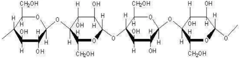Gambar 1. Struktur selulosa 