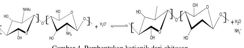 Gambar 4. Pembentukan kationik dari chitosan 