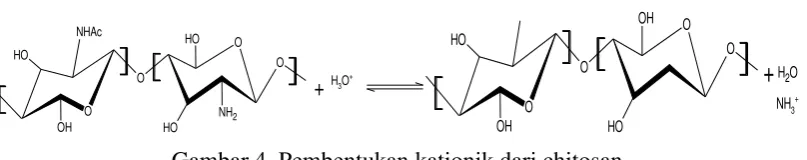 Gambar 4. Pembentukan kationik dari chitosan 