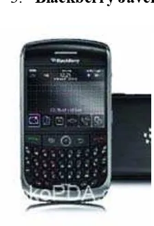 Gambar 3.4 Blackberry Javelin 