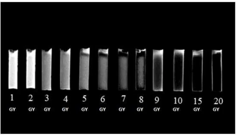 Figure 5. Transverse relaxation rate (R2) as a function of absorbed dose (D) for MAGAT gel dosimeter of 5% gelatin for varying concentrations of MAA irradiated from 0 to 20 Gy 