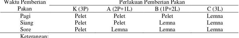 Tabel 1 Rancangan perlakuan pemberian pakan pada ikan lele dengan pakan komersil (P) dan Lemna perpusilla ( L)  