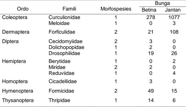 Tabel  1.  Jumlah  ordo,  famili  dan  morfospesies  serangga  pengunjung  pada  bunga  jantan dan betina 