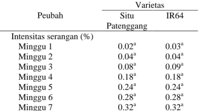 Tabel 7  Perbandingan  intensitas  serangan  cendawan  Rhizoctonia  sp.  pada  varietas  Situ  Patenggang  dan IR64  Peubah  Varietas Situ  Patenggang  IR64  Intensitas serangan (%)  Minggu 1  0.02 a 0.03 a Minggu 2  0.04 a 0.04 a Minggu 3  0.08 a 0.09 a M