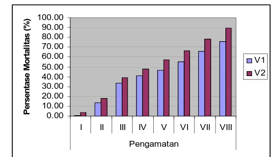 Gambar 2. Histogram pengaruh varietas beras terhadap persentase mortalitas imago  Siythopylus oryzae pada setiap waktu pengamatan