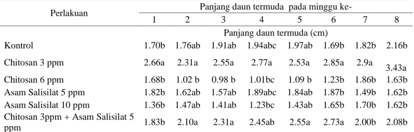 Tabel 10. Rata-rata panjang daun termuda tanaman anggrek Phalaenopsis amabilis pada tahap aklimatisasi 