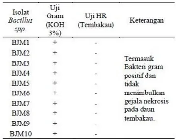 Tabel  1.  Hasil  isolasi  Bacillus  spp.  dari  lahan  tanaman 