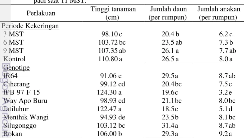 Tabel  3. Rata-rata tinggi tanaman, jumlah daun dan  jumlah anakan 8 genotipe 
