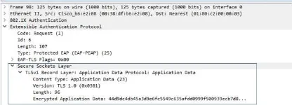 Gambar 4. capture enkripsi application data