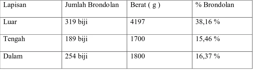 Tabel 4.2.1 Persentase Brondolan 