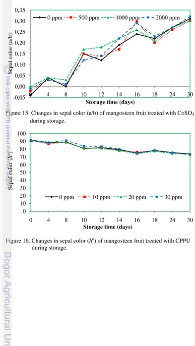 Figure 15. Changes in sepal color (a/b) of mangosteen fruit treated with CoSO4 