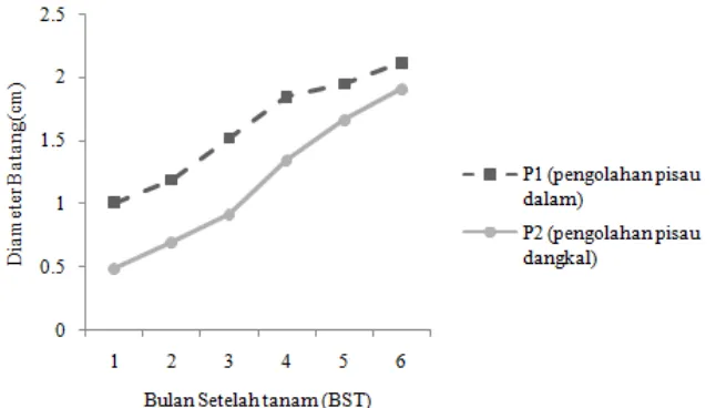 Gambar 4. Grafik pertumbuhan diameter batang umur 1-6 BST pada perlakuan               pengolahan tanah  