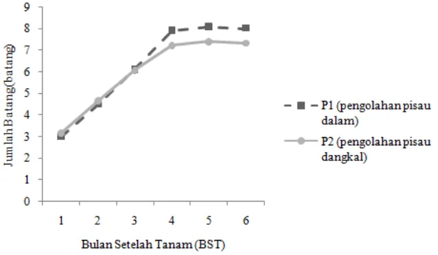 Gambar 8. Grafik pertumbuhan jumlah batang umur 1-6 BST pada perlakuan              pengolahan tanah   