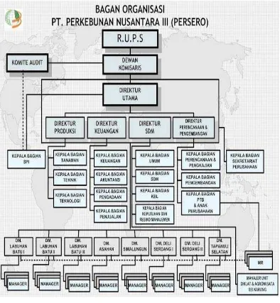 Gambar 3.1  Bagan Organisasi PTPN III (Persero) Medan  