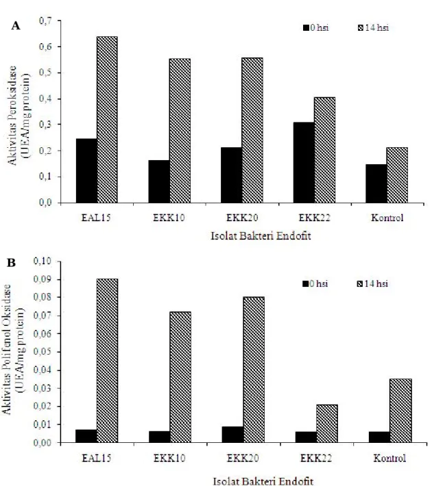Gambar 1.  Pengaruh isolat bakteri endofit EAL15, EKK10, EKK20 dan EKK22 terhadap aktivitas peroksidase (A) dan polifenol oksidase (B) pada akar tanaman pisang Cavendish  sebelum inokulasi R
