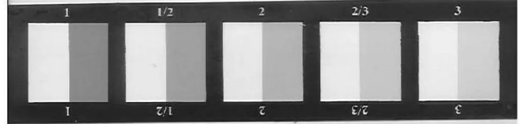 Gambar II.2. Grey Scale